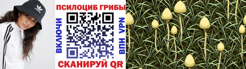 Псилоцибиновые грибы GOLDEN TEACHER  Купить закладки  Ипатово 